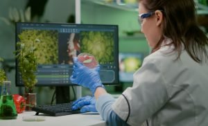 agence de communication à kénitra Rabat Maroc