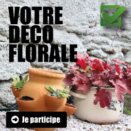 DECO FLORALE (8 min)